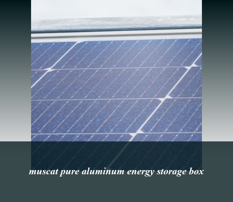 muscat pure aluminum energy storage box