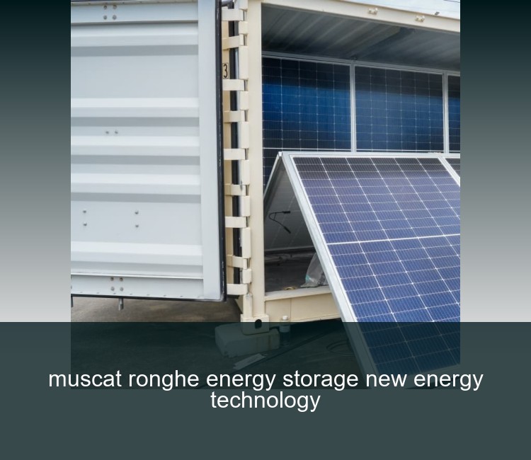 muscat ronghe energy storage new energy technology