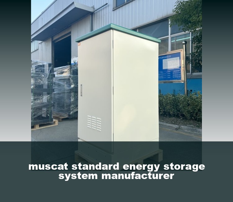 muscat standard energy storage system manufacturer