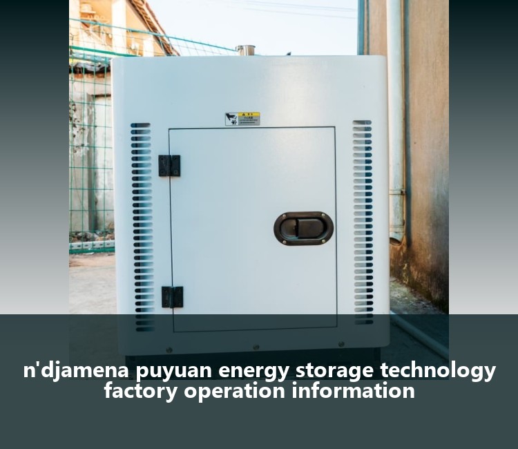 n'djamena puyuan energy storage technology factory operation information