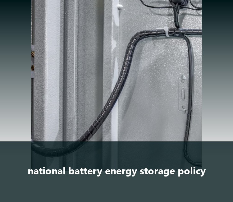 national battery energy storage policy