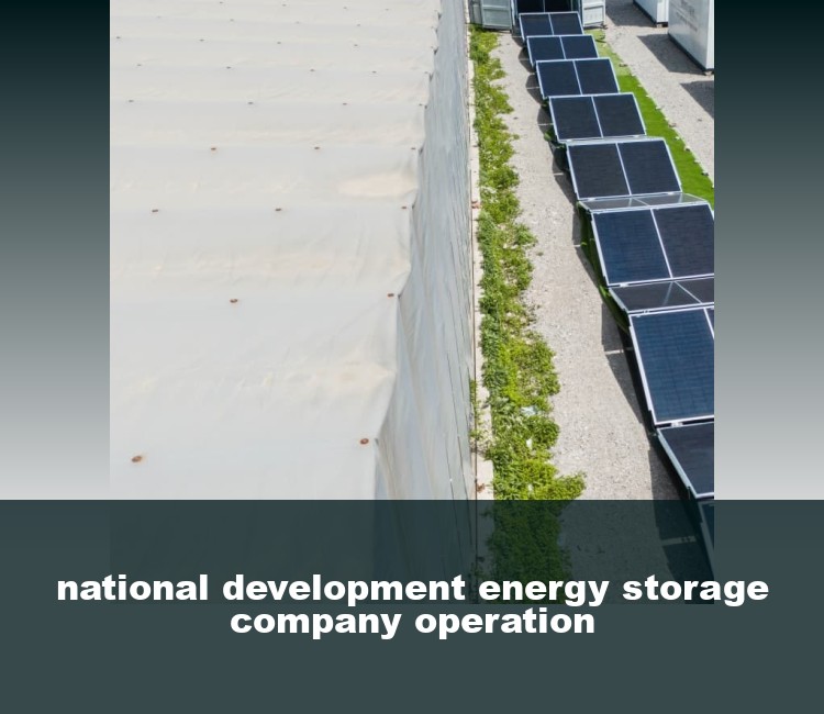 national development energy storage company operation
