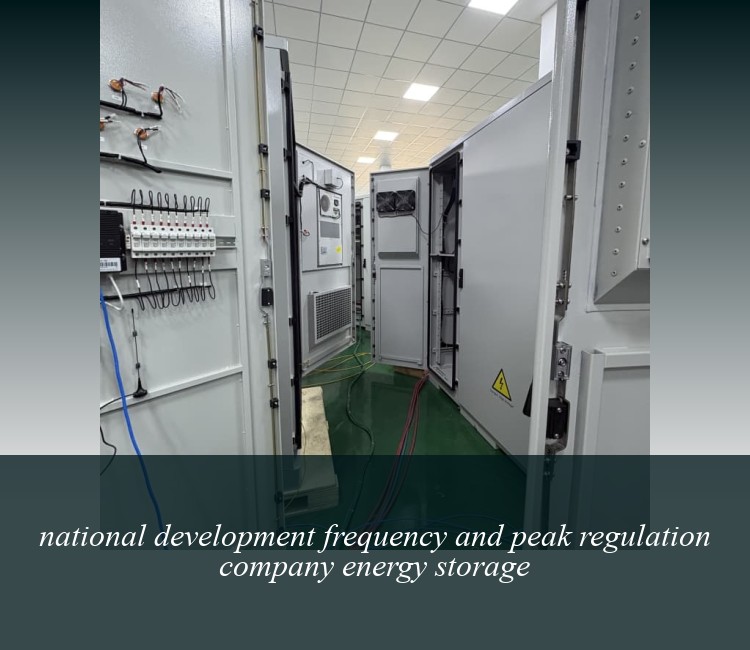 national development frequency and peak regulation company energy storage