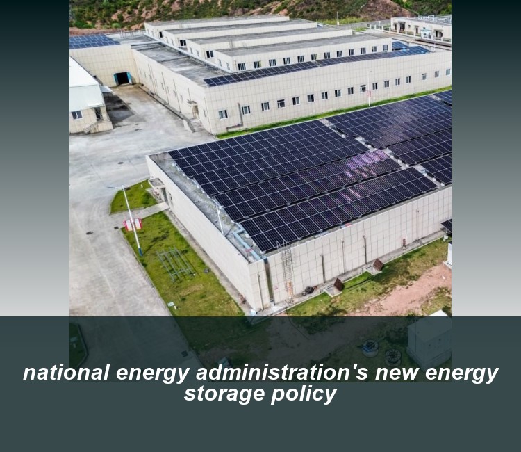 national energy administration's new energy storage policy