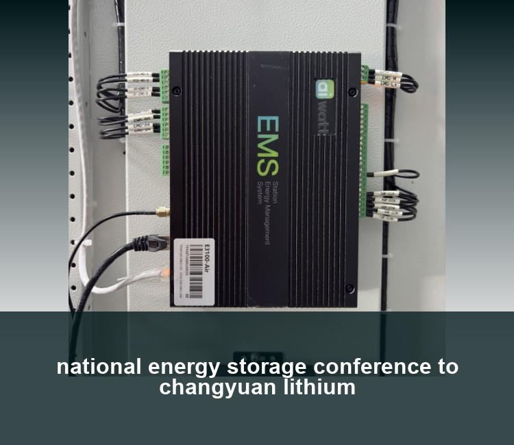 national energy storage conference to changyuan lithium