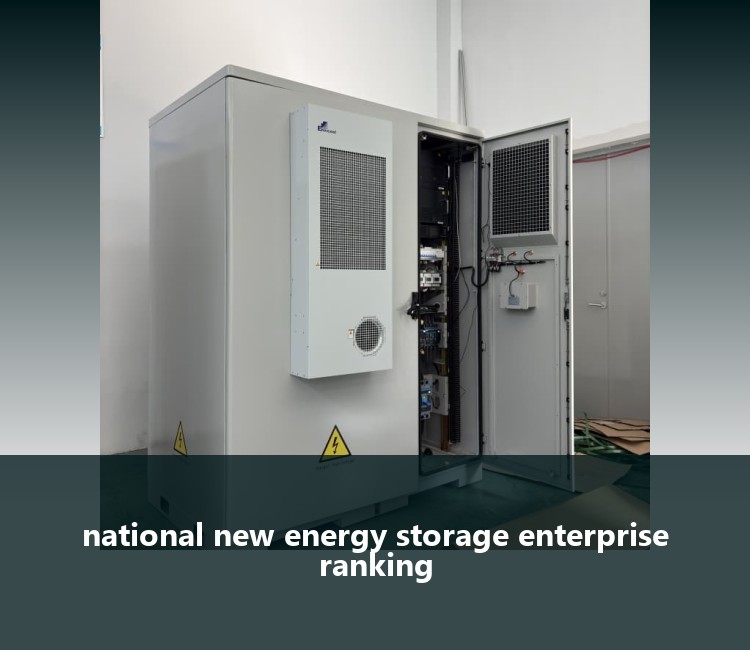 national new energy storage enterprise ranking
