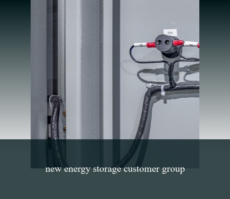 new energy storage customer group