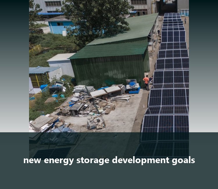 new energy storage development goals