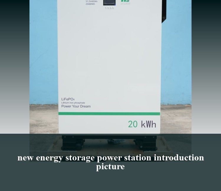 new energy storage power station introduction picture
