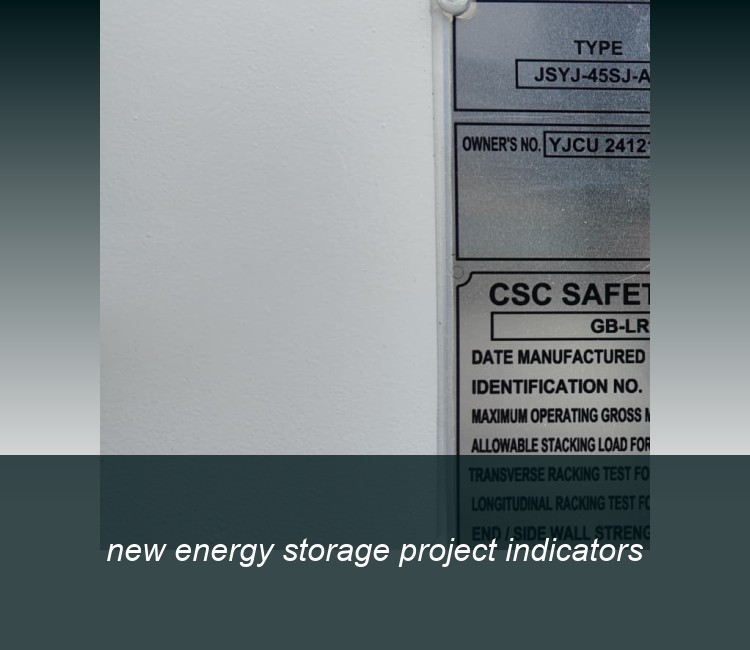 new energy storage project indicators