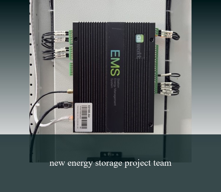 new energy storage project team
