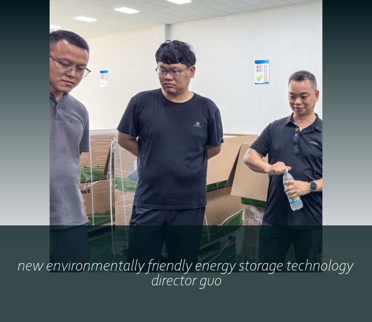 new environmentally friendly energy storage technology director guo