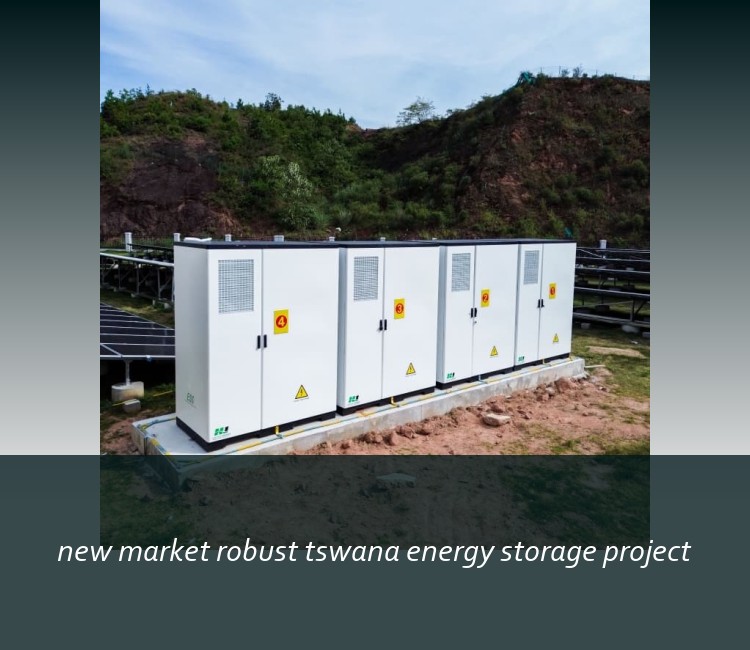 new market robust tswana energy storage project