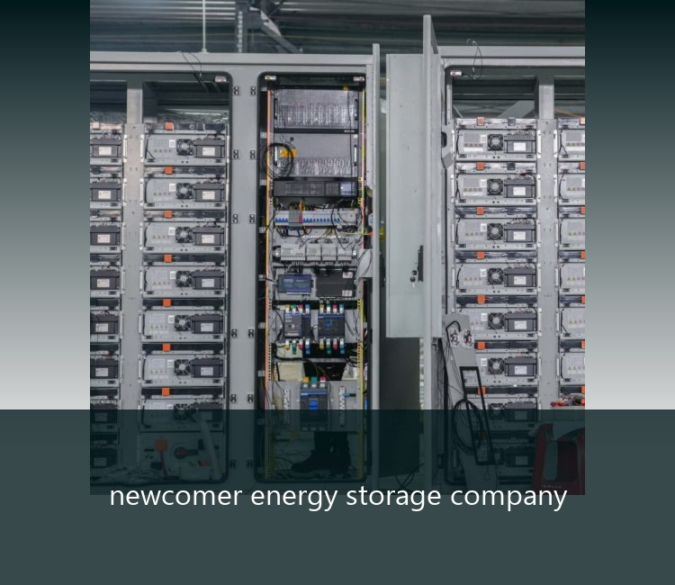 newcomer energy storage company