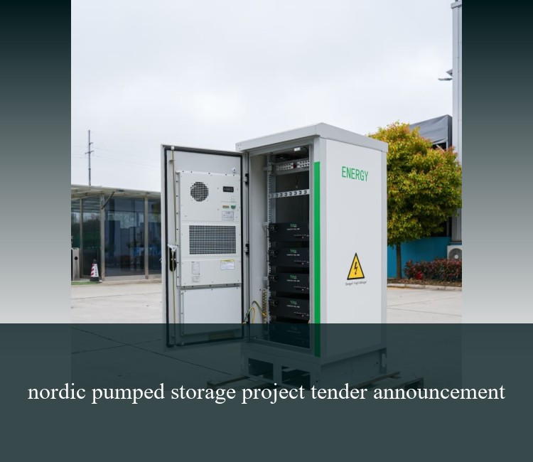 nordic pumped storage project tender announcement
