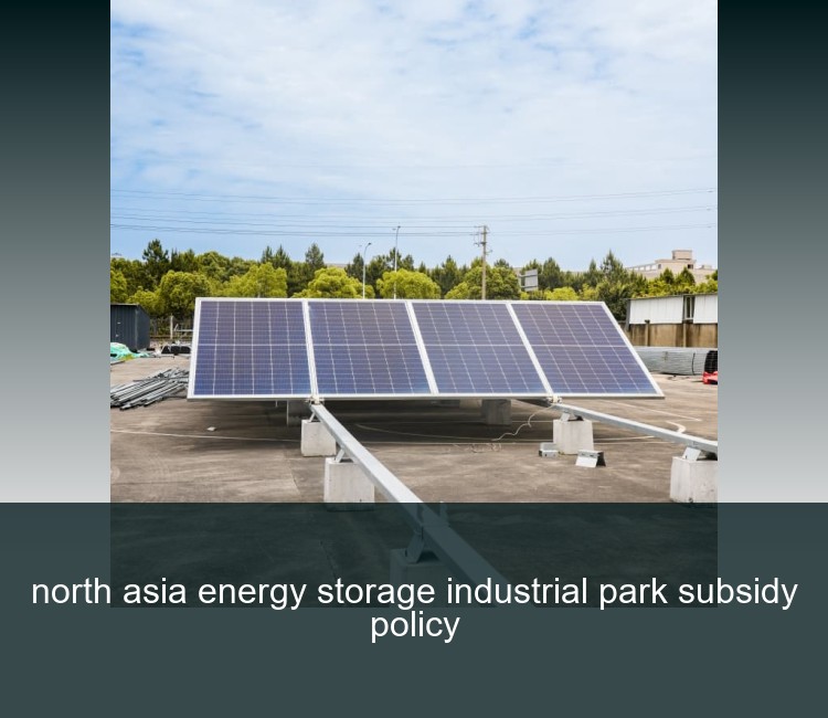 north asia energy storage industrial park subsidy policy