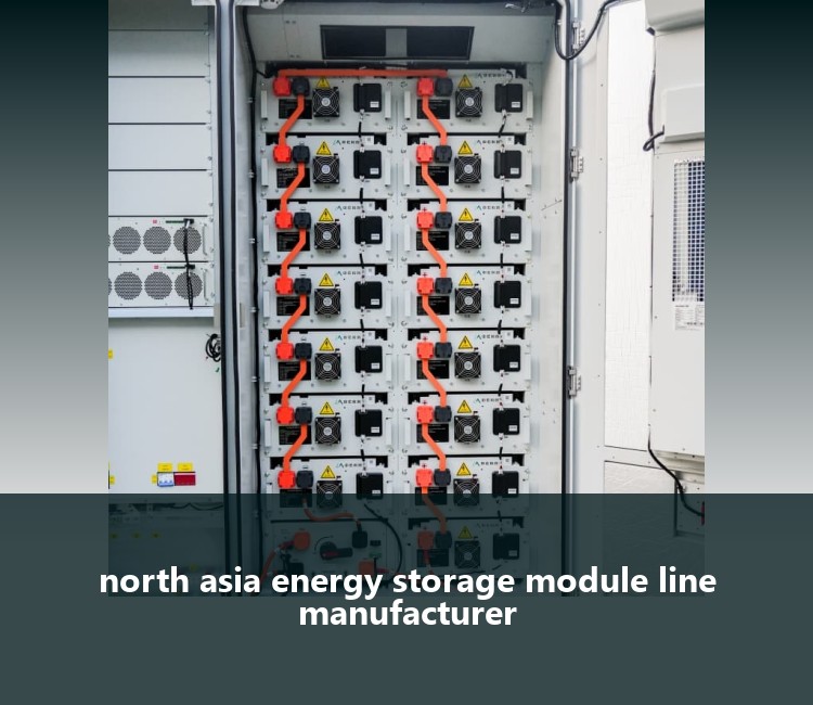 north asia energy storage module line manufacturer