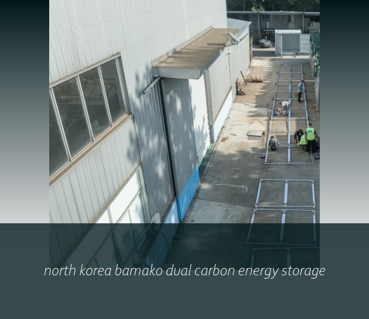 north korea bamako dual carbon energy storage