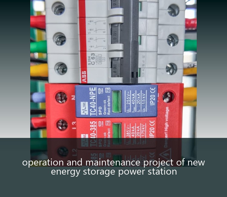 operation and maintenance project of new energy storage power station