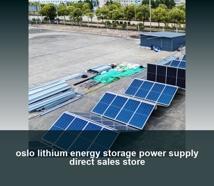 oslo lithium energy storage power supply direct sales store