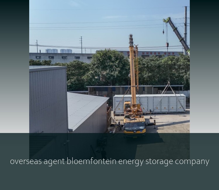 overseas agent bloemfontein energy storage company