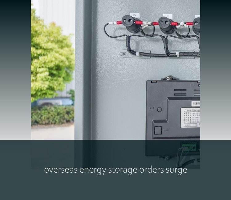 overseas energy storage orders surge