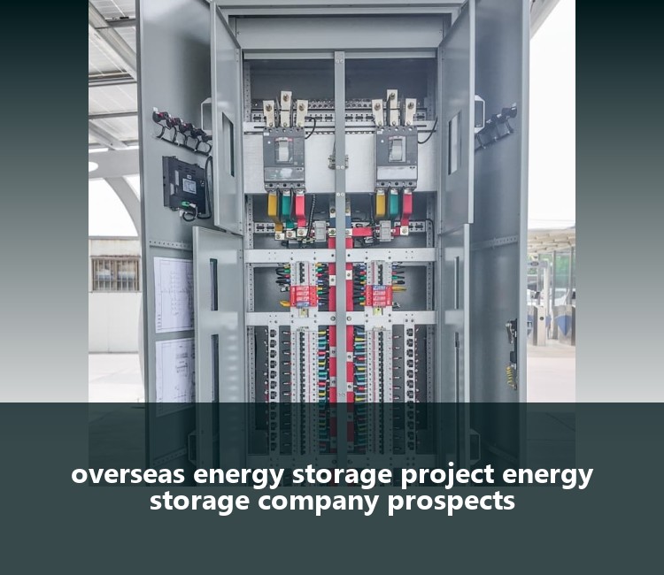overseas energy storage project energy storage company prospects