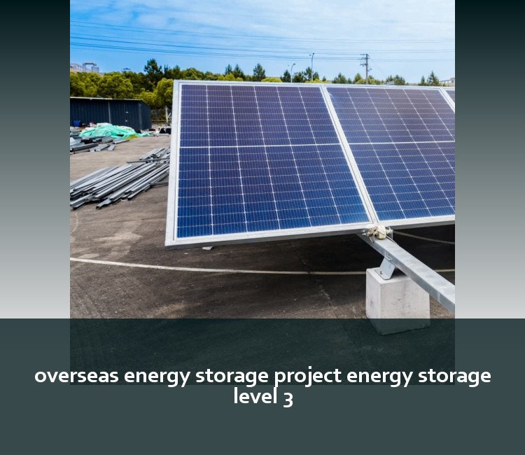 overseas energy storage project energy storage level 3
