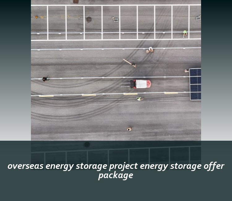 overseas energy storage project energy storage offer package