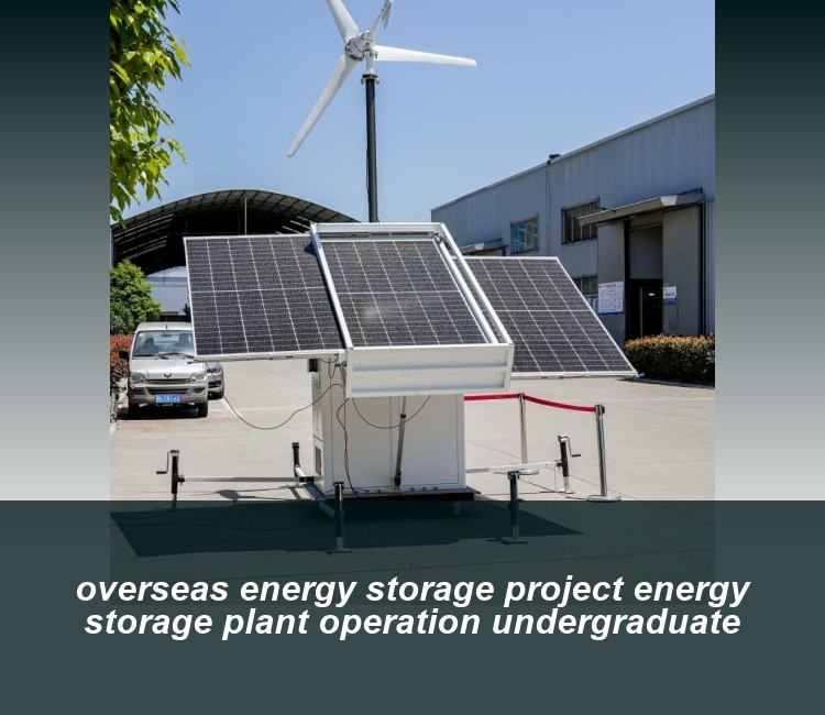 overseas energy storage project energy storage plant operation undergraduate