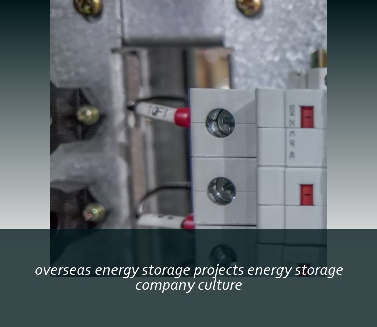 overseas energy storage projects energy storage company culture