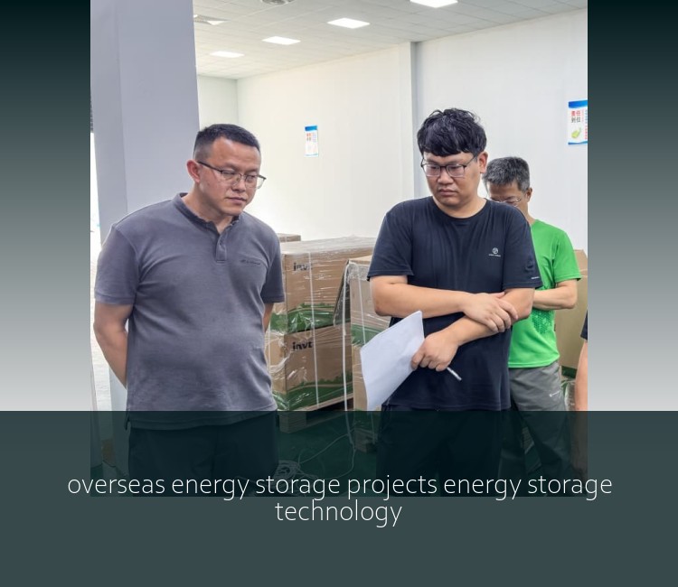 overseas energy storage projects energy storage technology