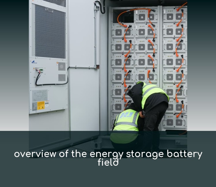 overview of the energy storage battery field