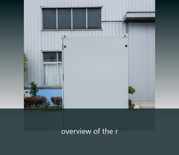overview of the r