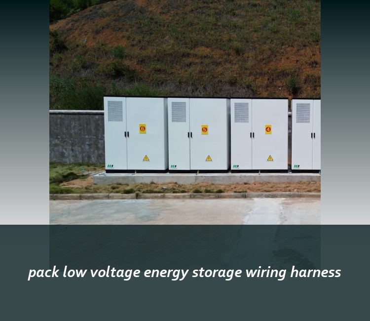 pack low voltage energy storage wiring harness