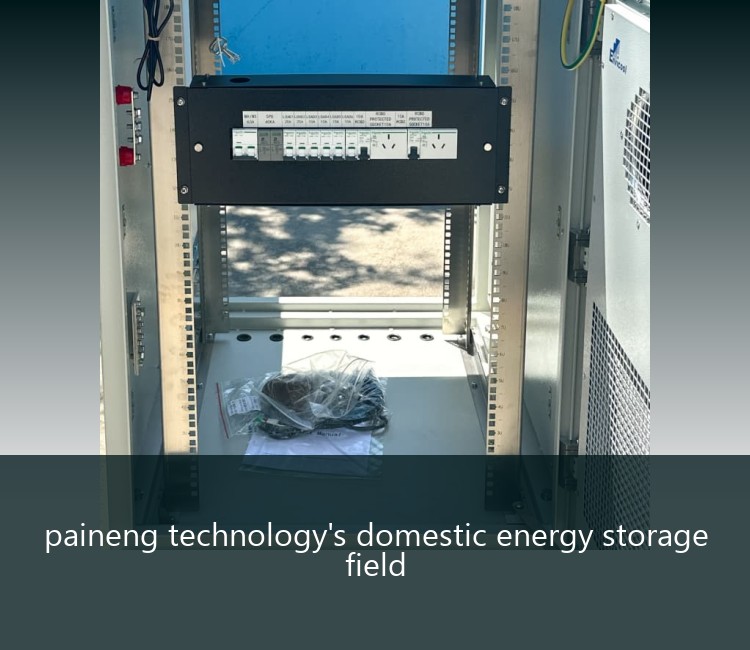 paineng technology's domestic energy storage field