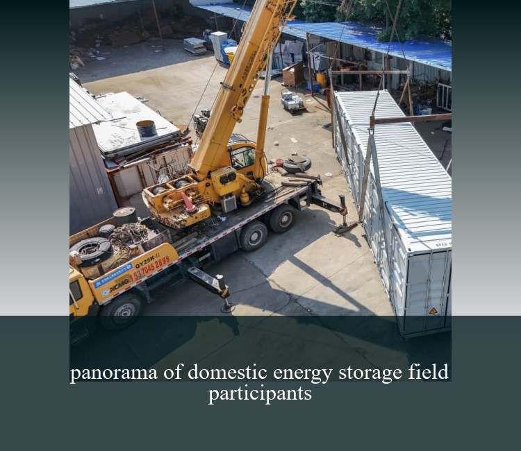 panorama of domestic energy storage field participants