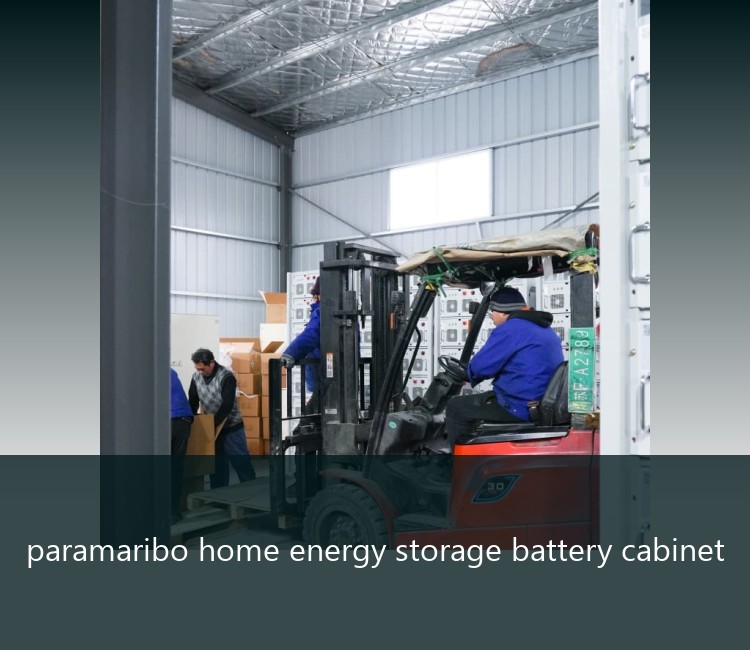 paramaribo home energy storage battery cabinet