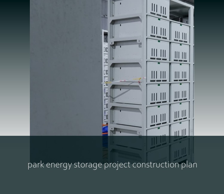 park energy storage project construction plan