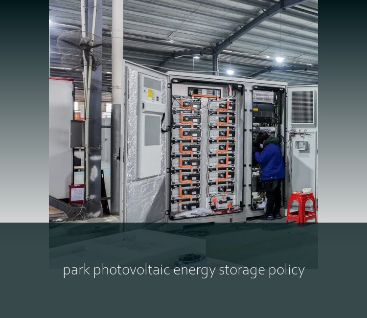 park photovoltaic energy storage policy