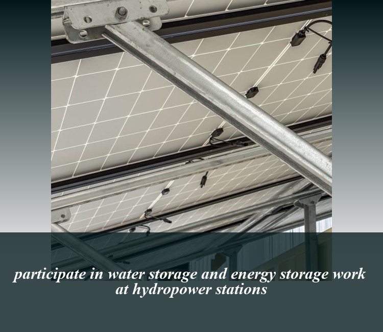 participate in water storage and energy storage work at hydropower stations