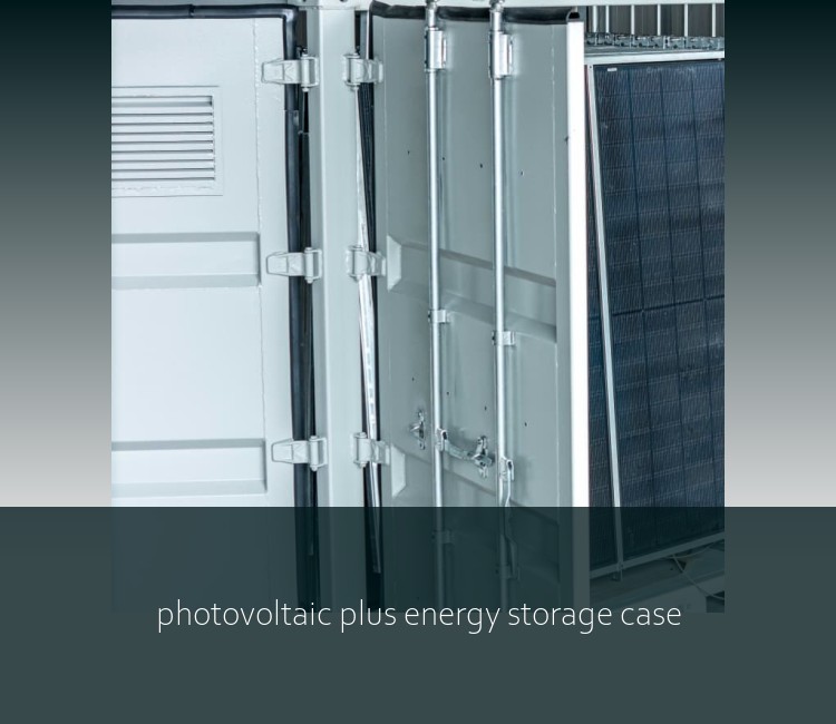 photovoltaic plus energy storage case