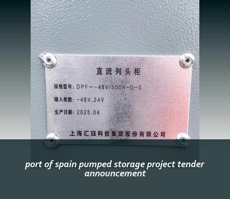 port of spain pumped storage project tender announcement