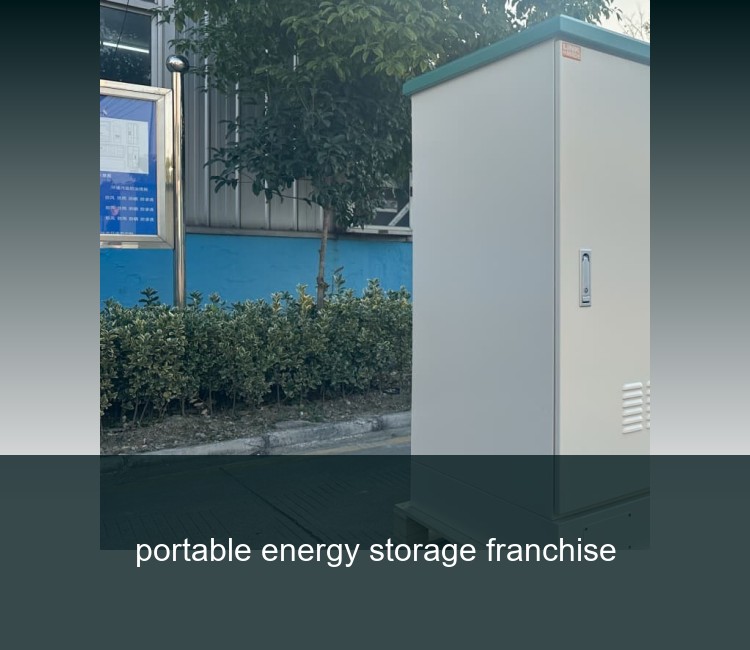 portable energy storage franchise