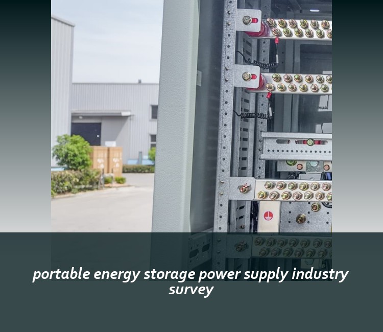 portable energy storage power supply industry survey