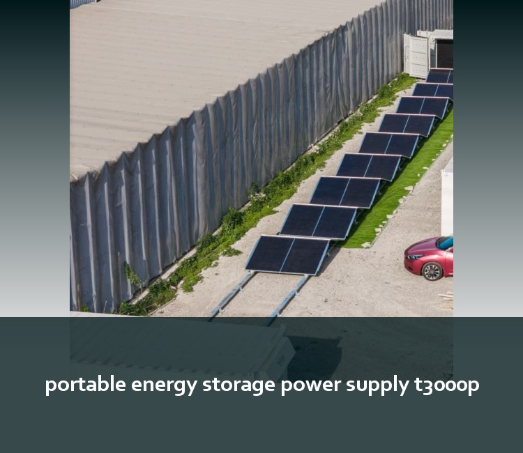 portable energy storage power supply t3000p