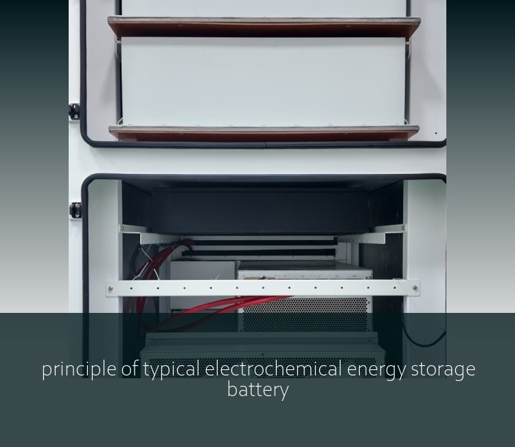 principle of typical electrochemical energy storage battery
