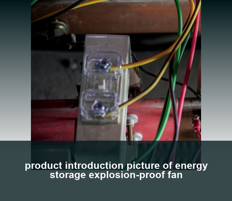 product introduction picture of energy storage explosion-proof fan