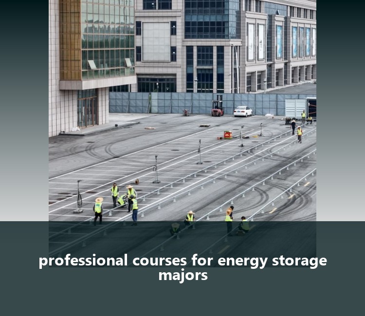 professional courses for energy storage majors