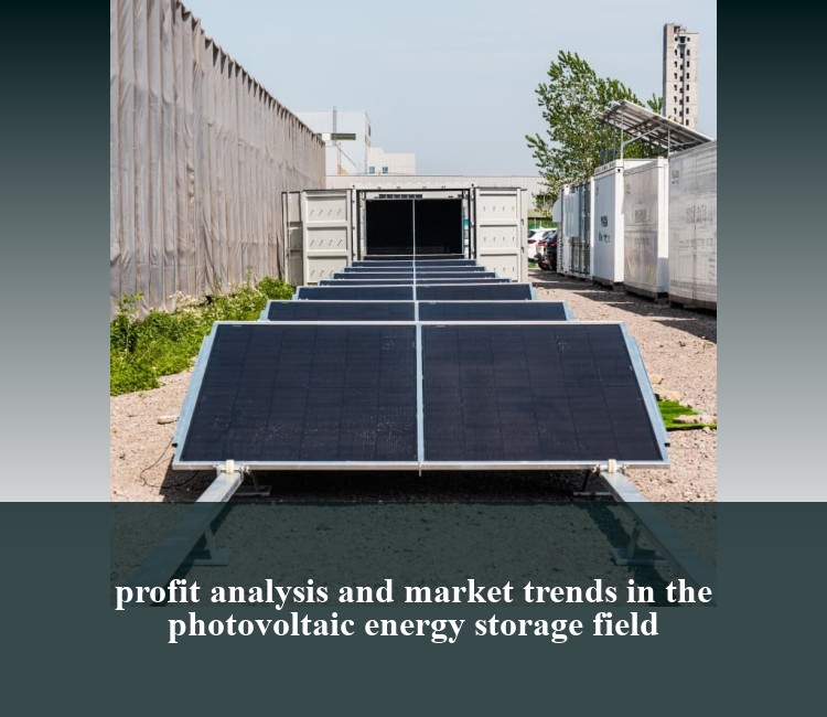 profit analysis and market trends in the photovoltaic energy storage field